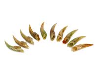 Ten Chinese Pierce-Carved Jade Nail Protectors