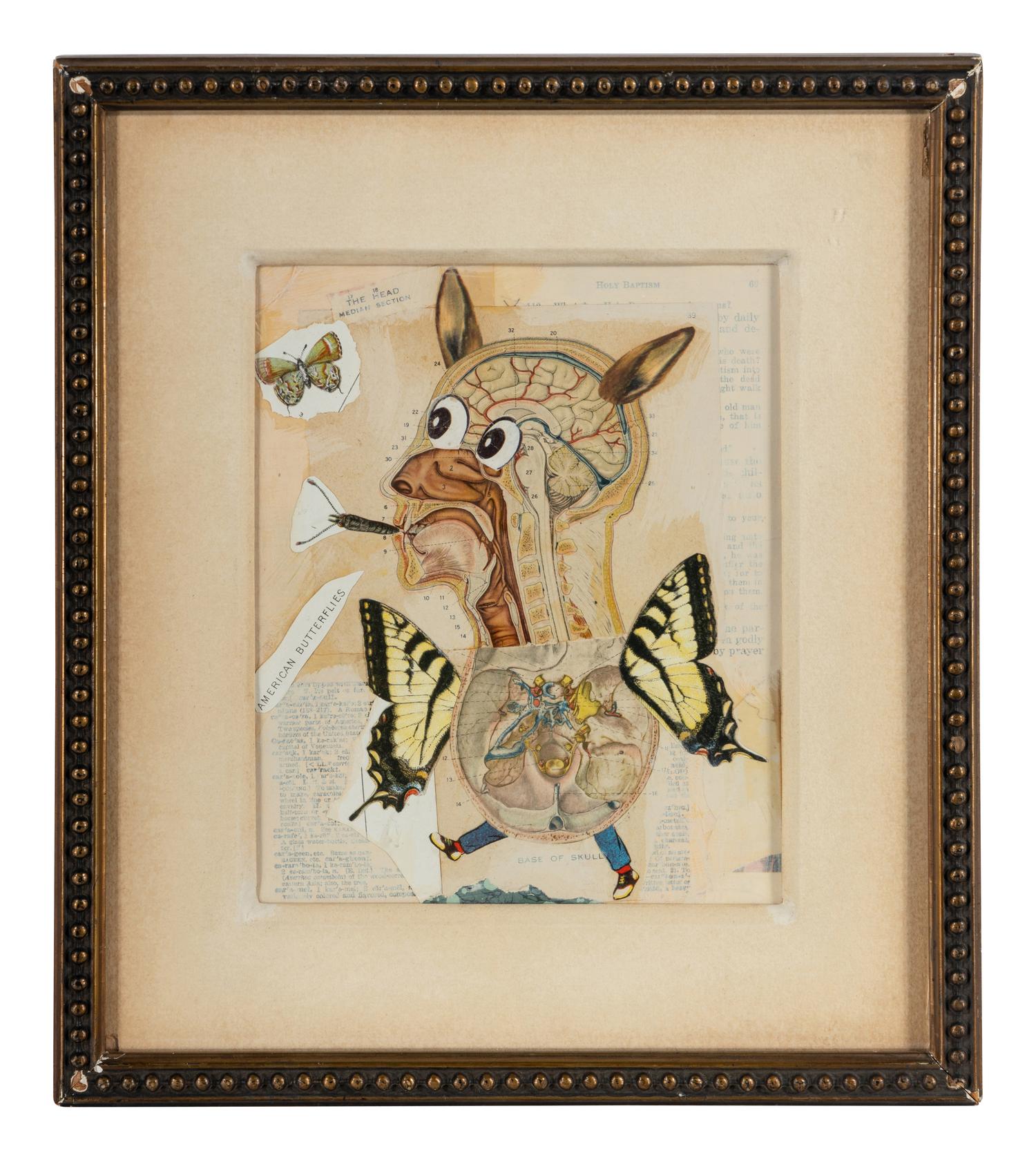 Untitled (American Butterflies), 1997