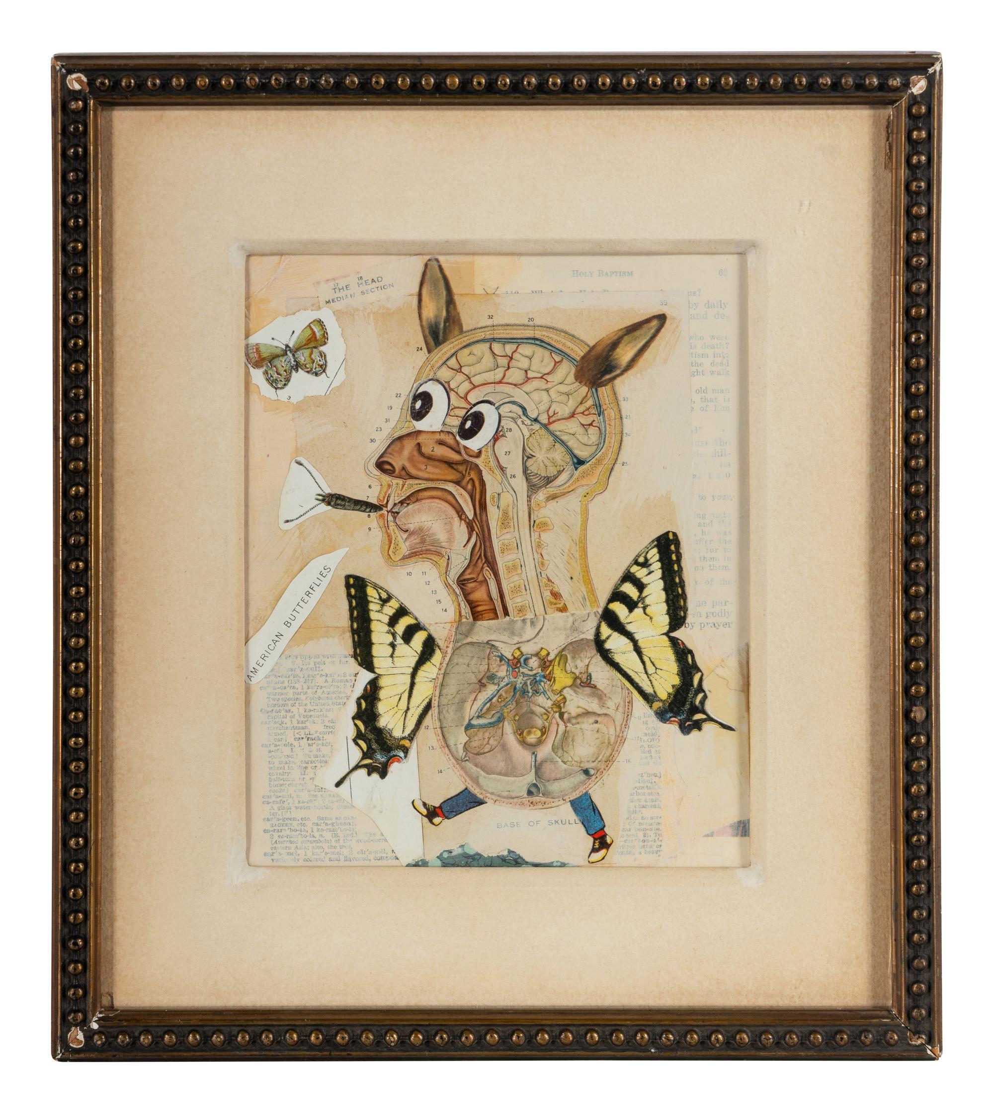 Untitled (American Butterflies), 1997