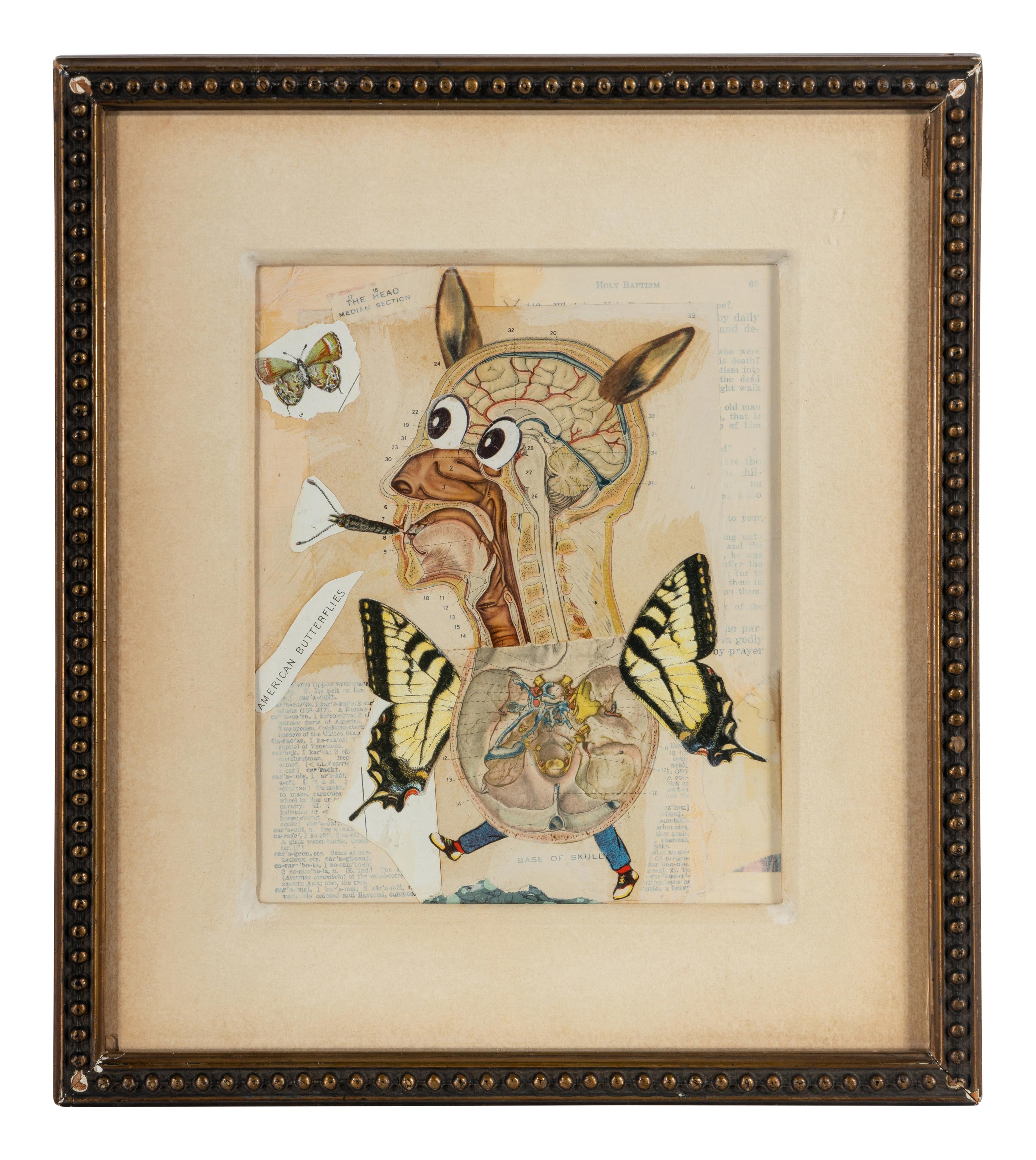 Untitled (American Butterflies), 1997
