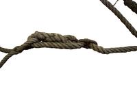 A Wood and Rope Climbing Ladder 9.5" W x 1" D x 170" H — Czech Republic, 20th Century