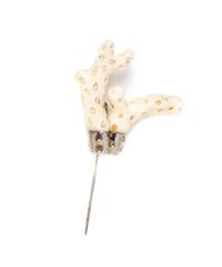 A Layla Rose White Coral Brooch,
