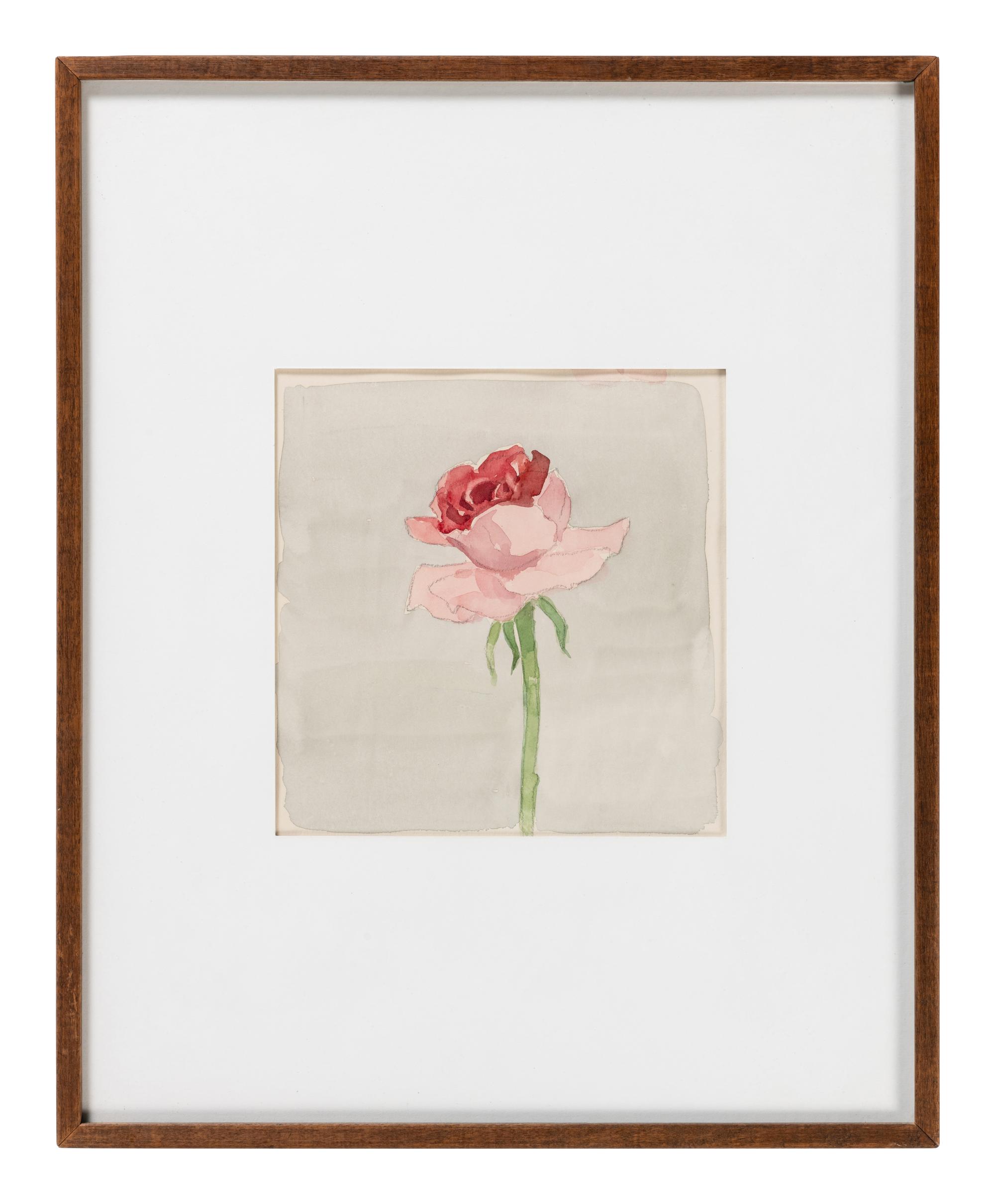 Pink Rose on Grey Ground