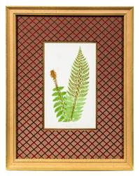 A Group of Four Botanical Prints Each 9 1/4 x 5 3/8 inches (visible).