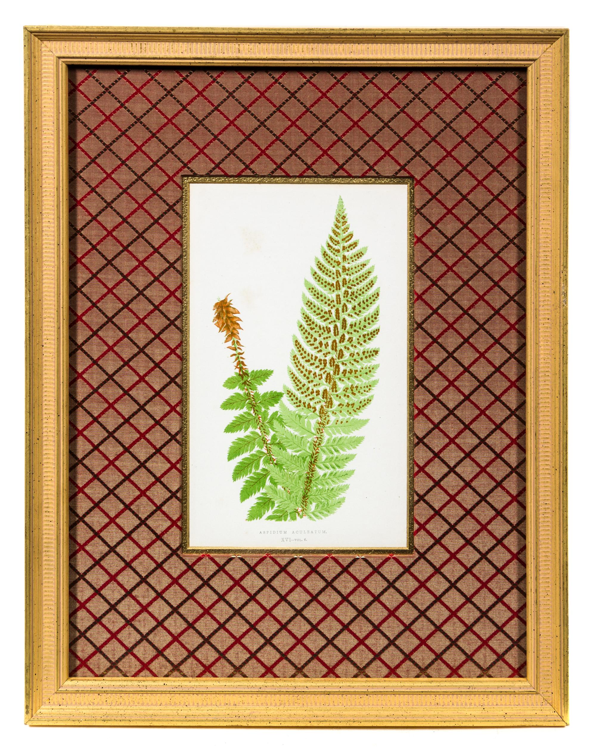 A Group of Four Botanical Prints Each 9 1/4 x 5 3/8 inches (visible).