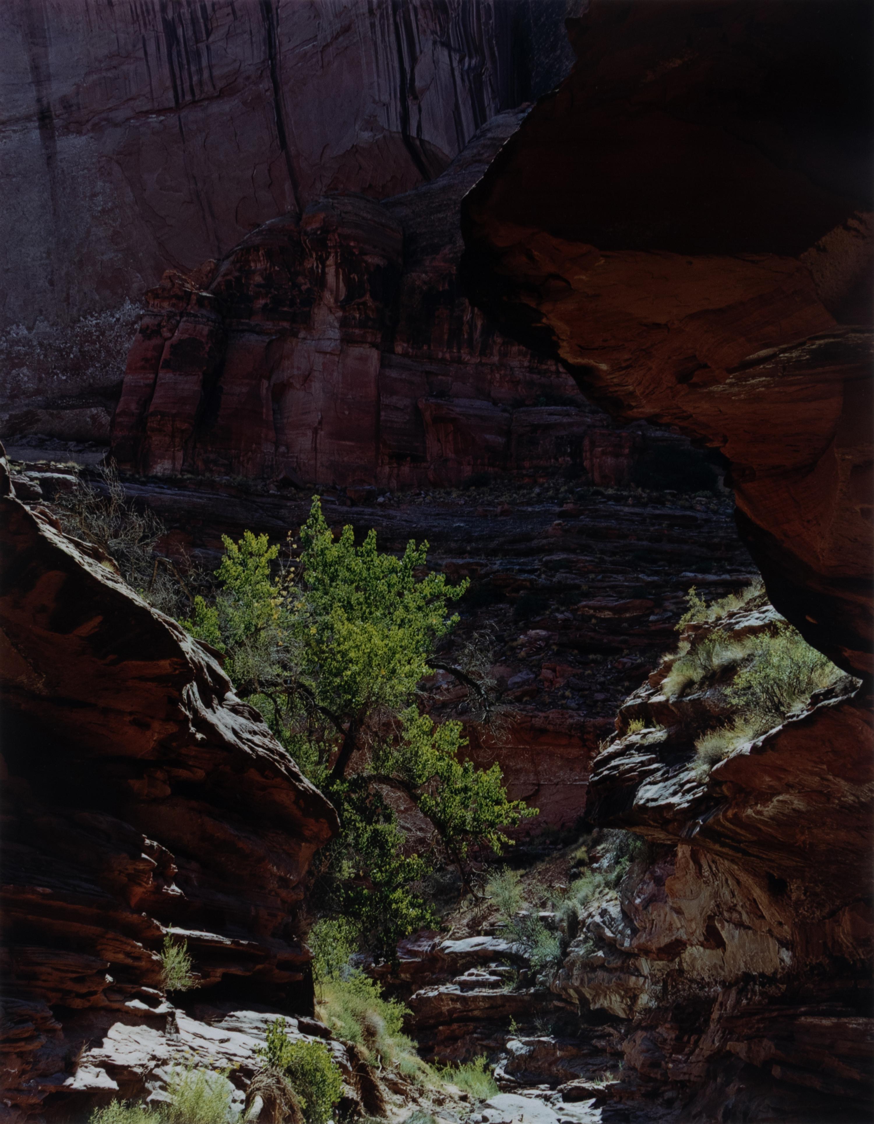 Glen Canyon (complete portfolio of ten with clamshell box), 1961-71; printed 1980