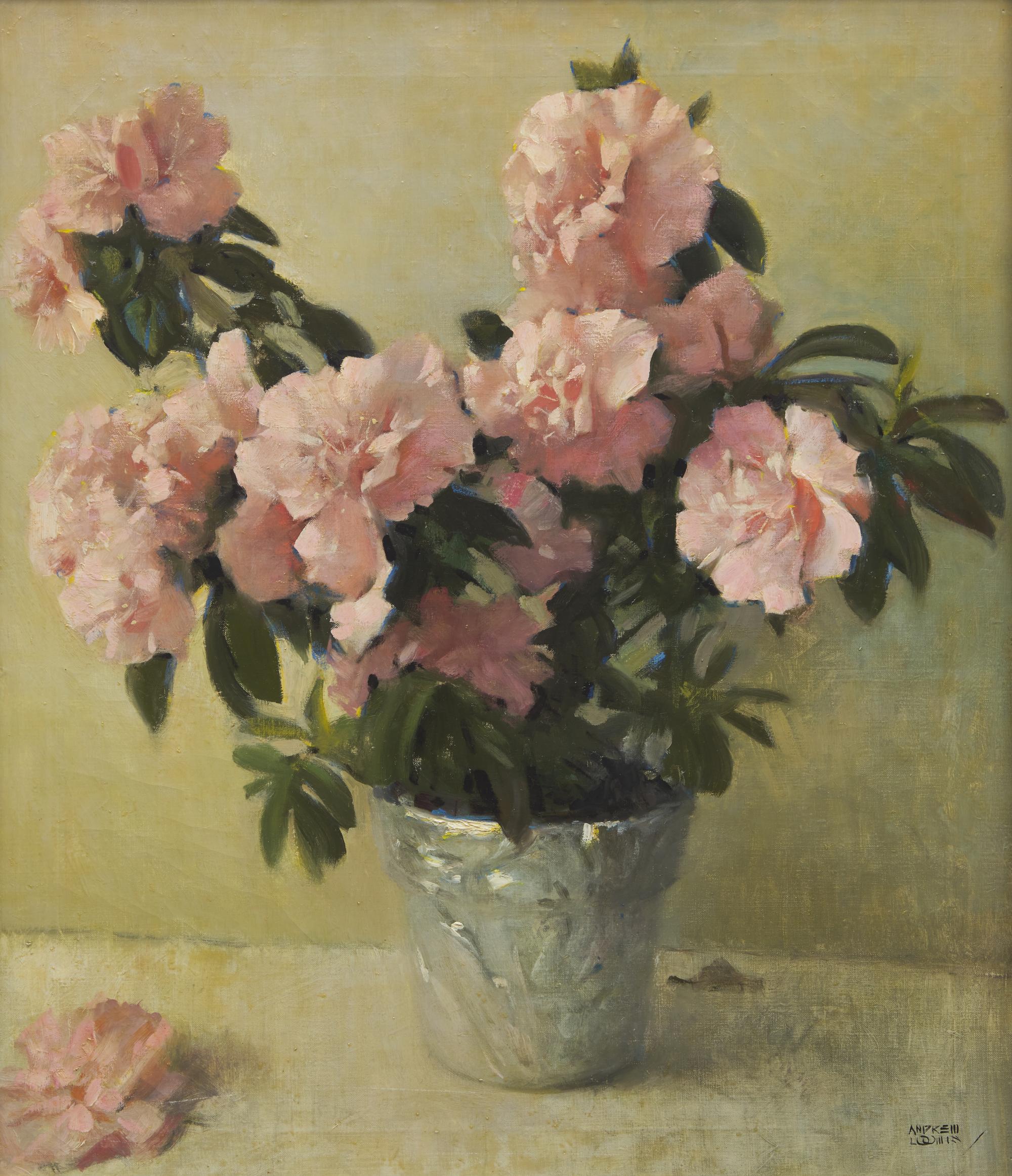 Pink Azaleas