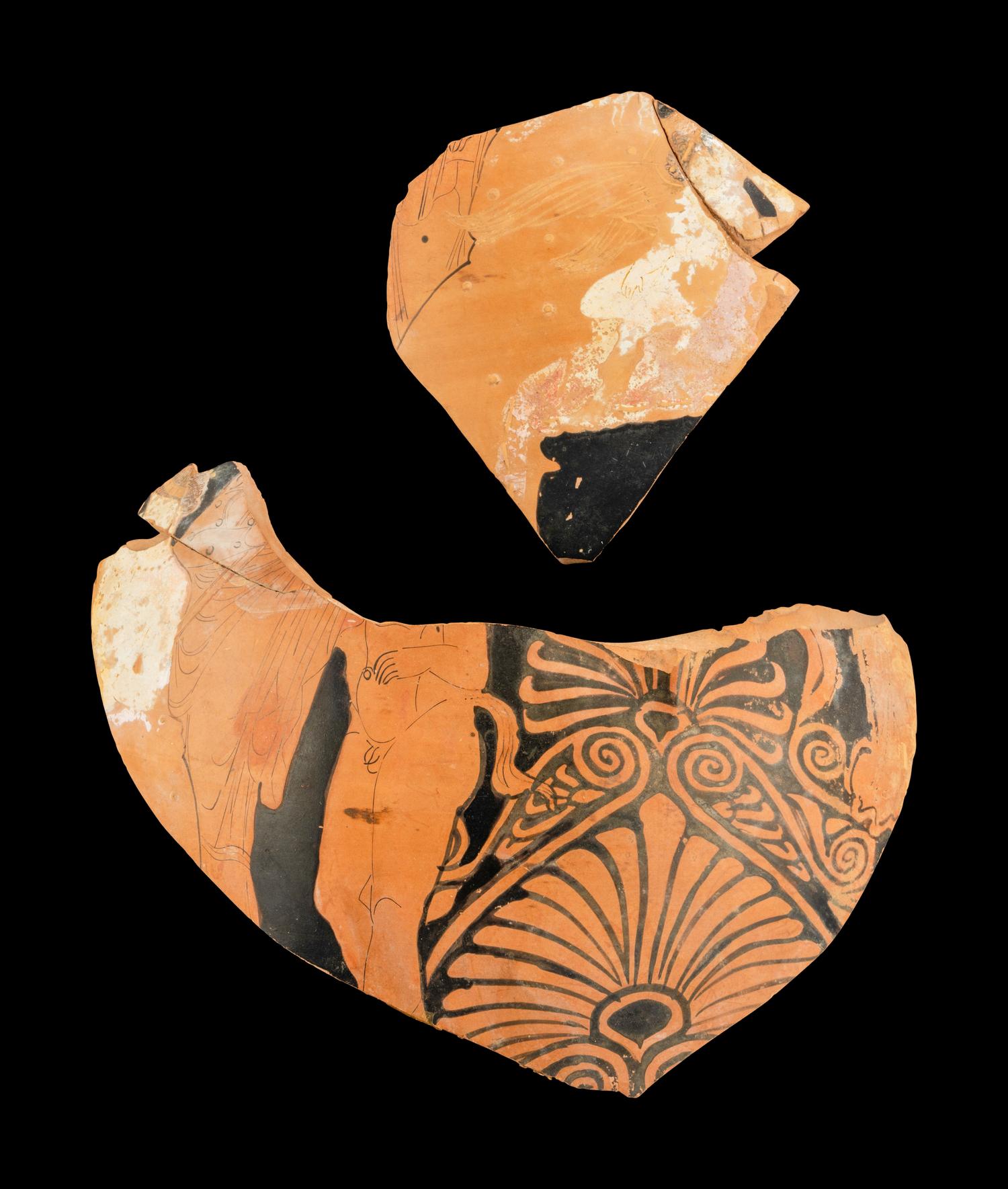 Two Attic Red-Figured Pelike Fragments