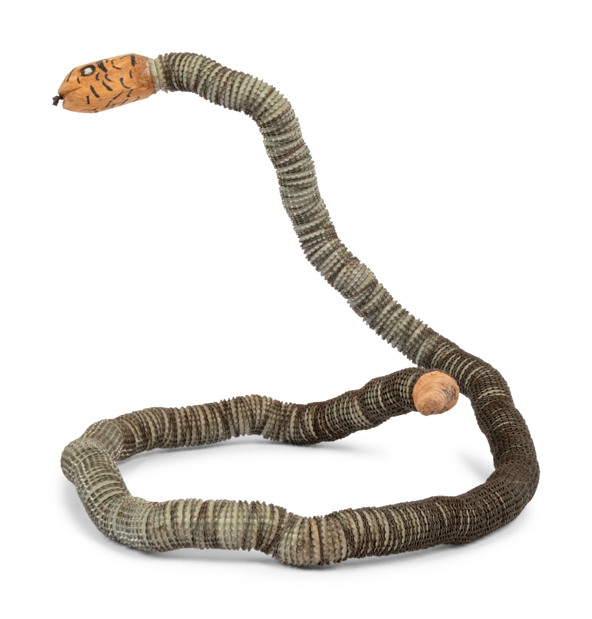 Bottlecap Snake