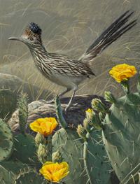 Prickly Perch , 1995