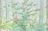 Outdoor Still Life