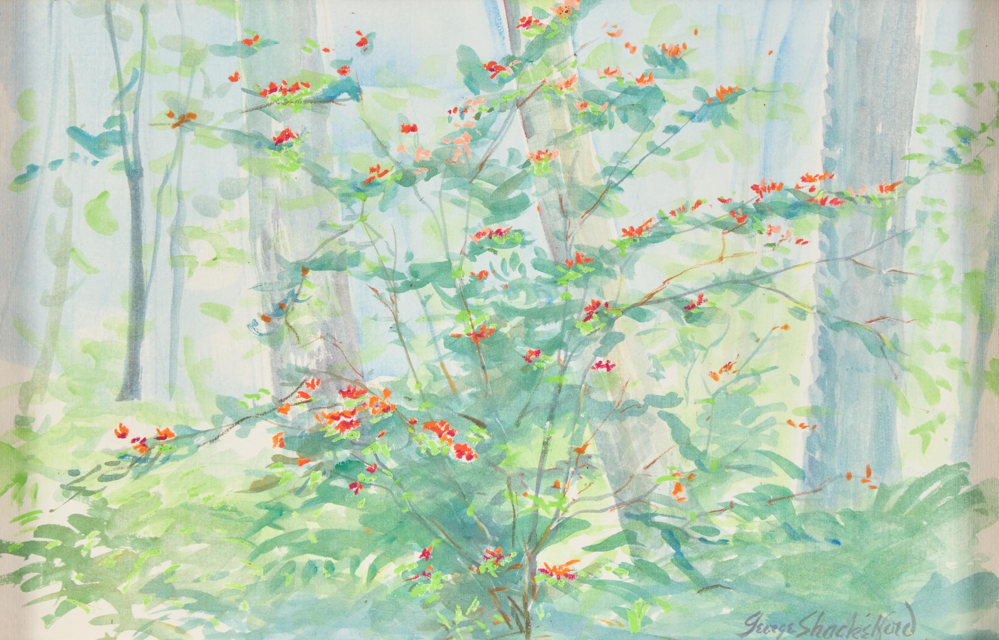 Outdoor Still Life