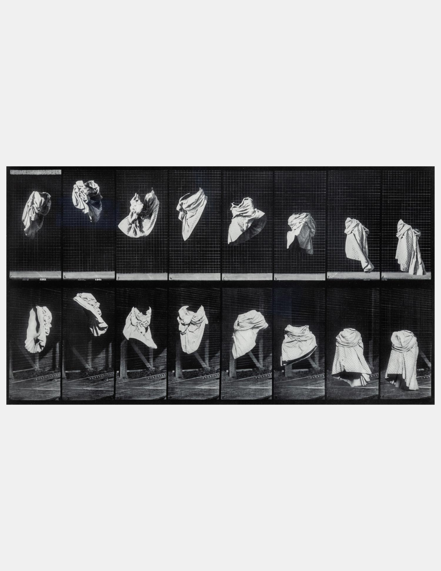 The Other Series: After Muybridge
