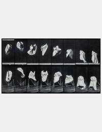 The Other Series: After Muybridge