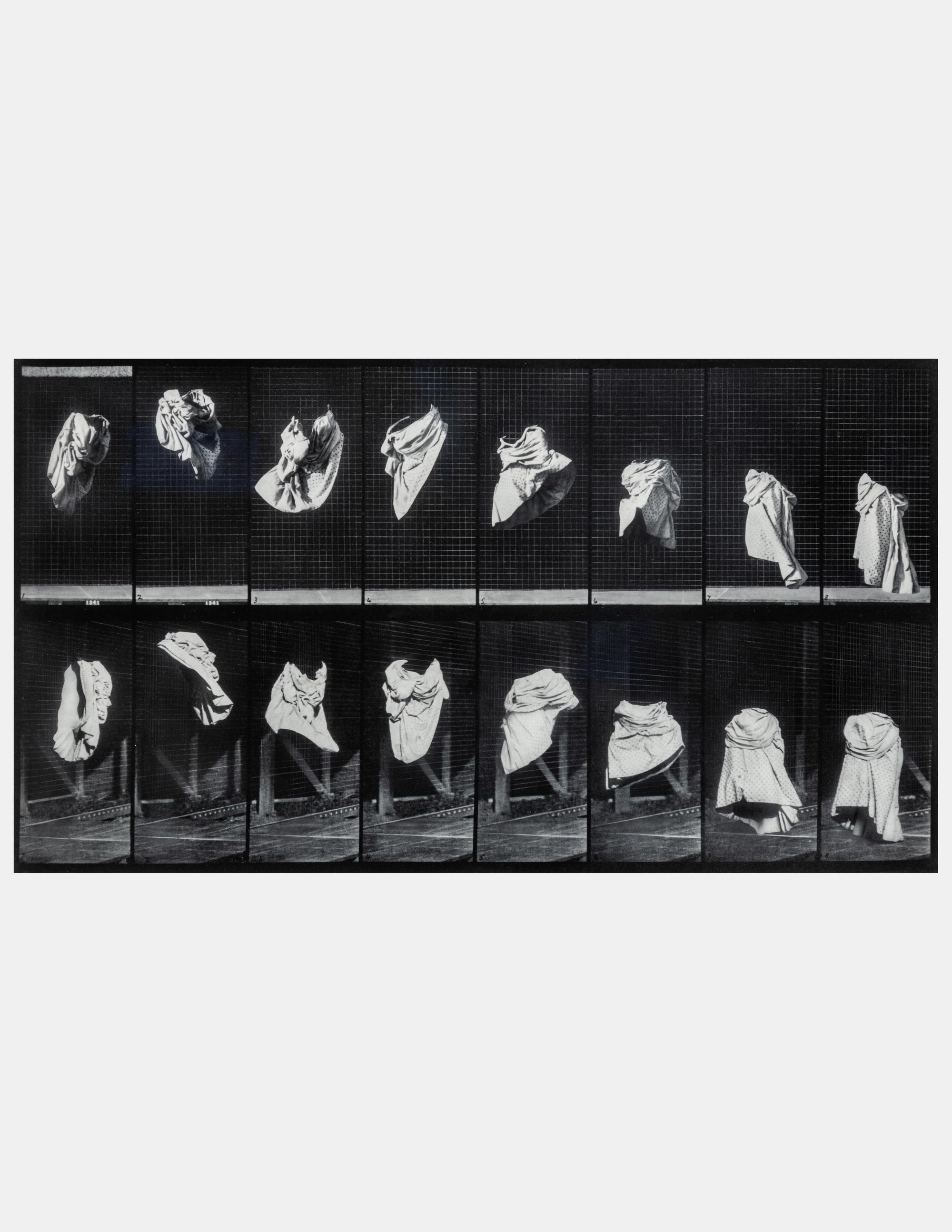 The Other Series: After Muybridge