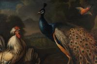 Peacock, Cockerel and Other Birds in a Landscape