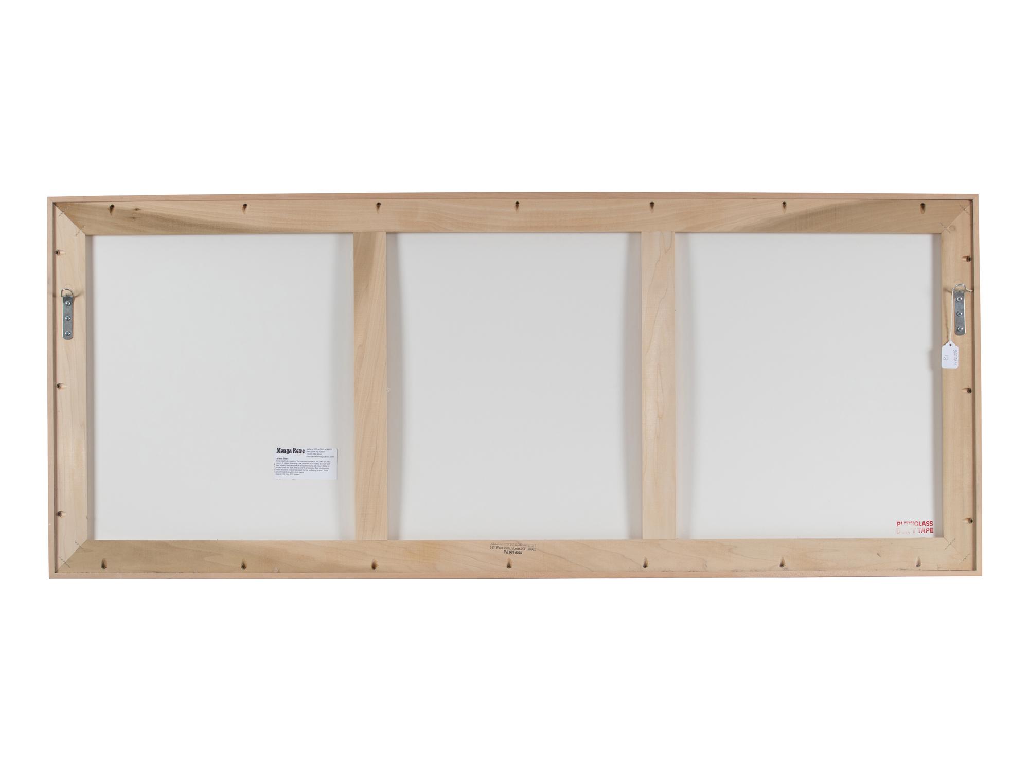 Enhanced Interrogation Techniques, Number 6 (Diptych), 2006