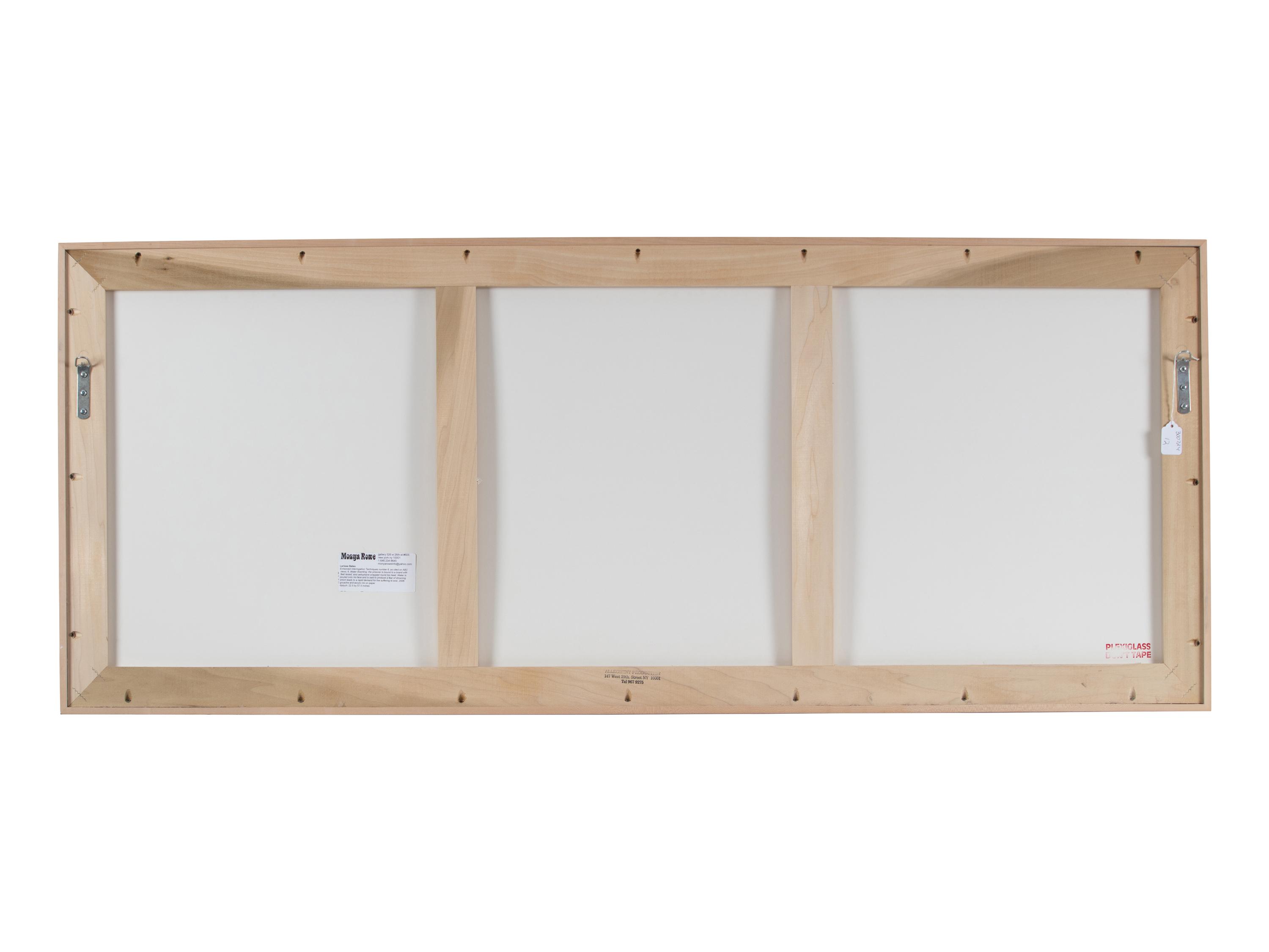 Enhanced Interrogation Techniques, Number 6 (Diptych), 2006