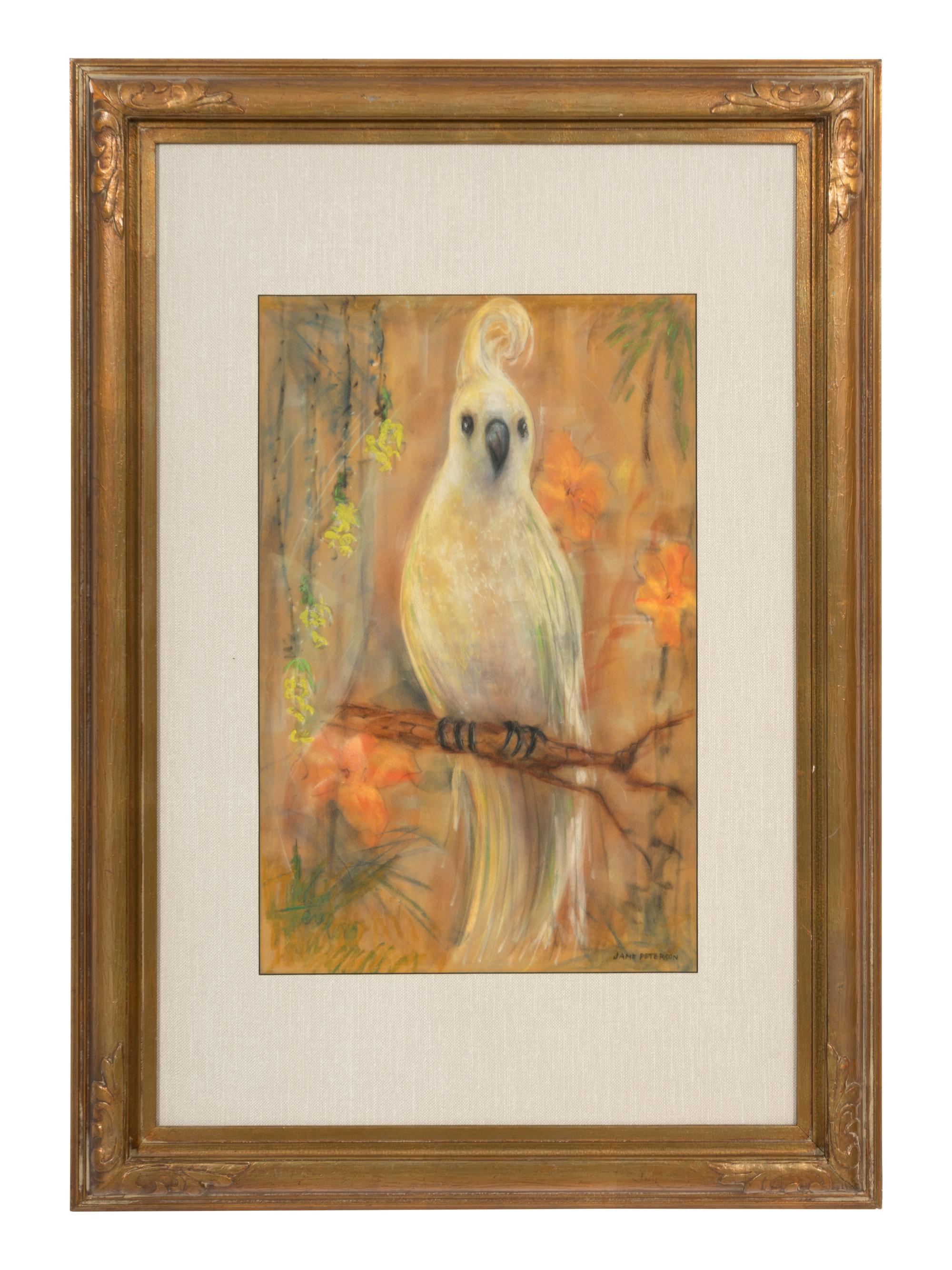 Yellow-Crested Cockatoo