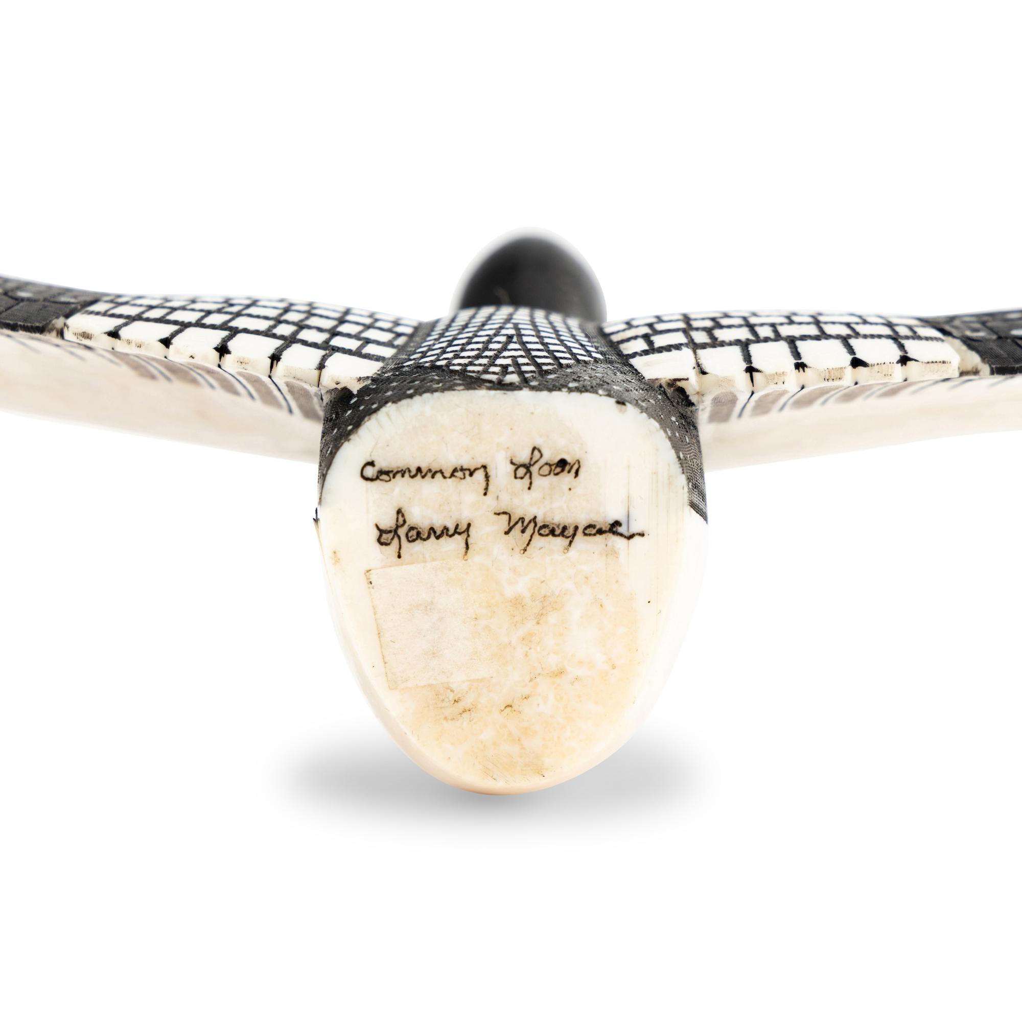 Common Loon