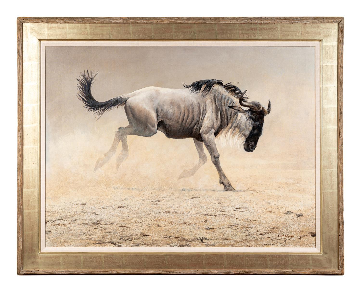 Wildebeest