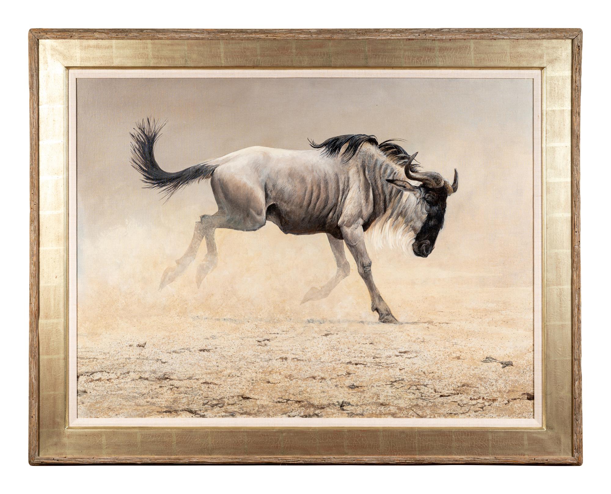 Wildebeest