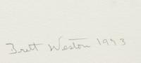 Twenty Photographs 1970-1977 (complete portfolio with original linen case)