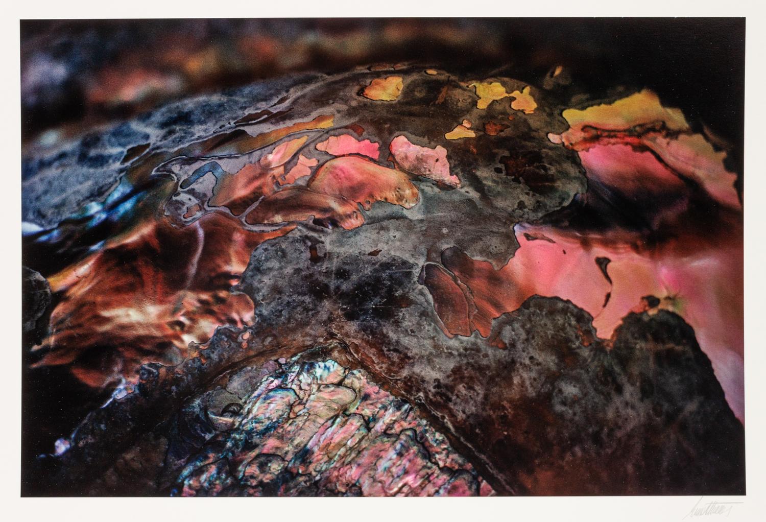 A group of ten photographs from the Creation Portfolio (one duplicate image)