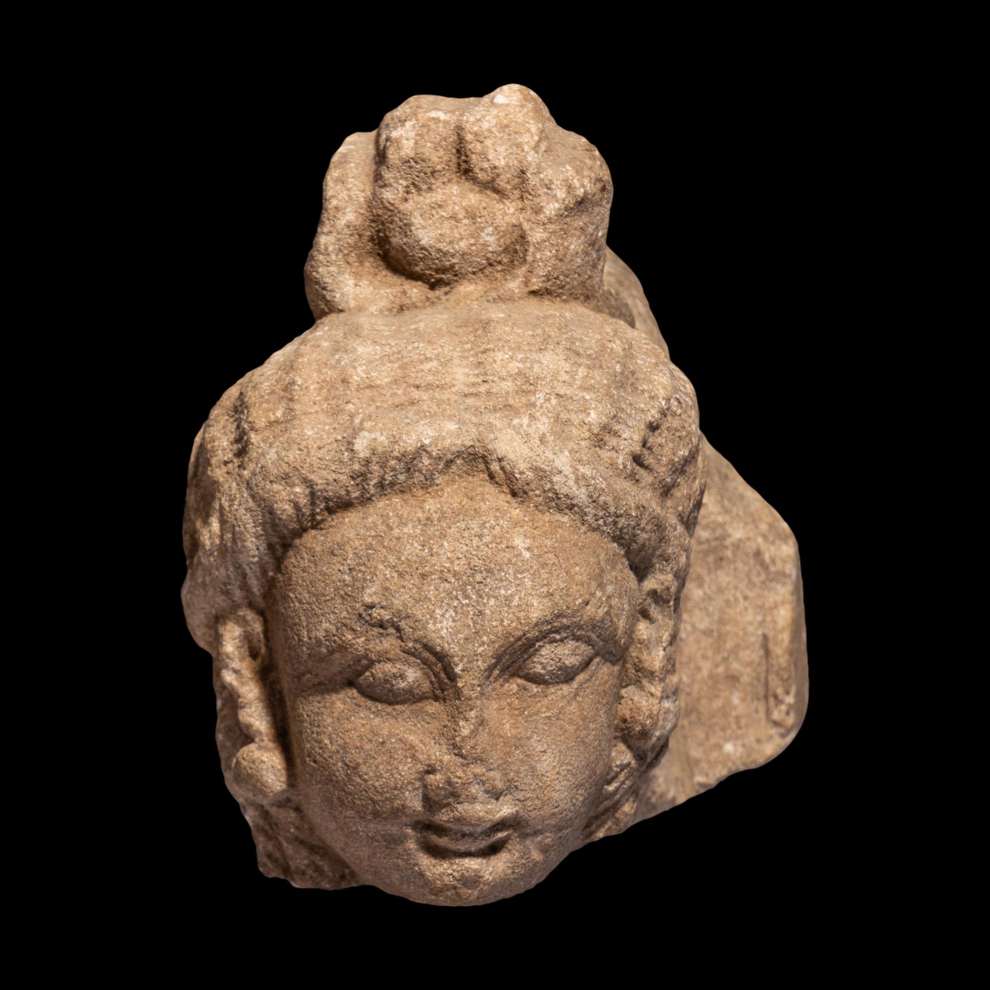 A Gandharan Sandstone Head