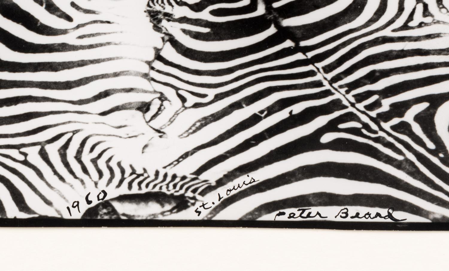 Game Control on Lariak Estate for Gilbert Coleville (from The End of the Game ), 1960