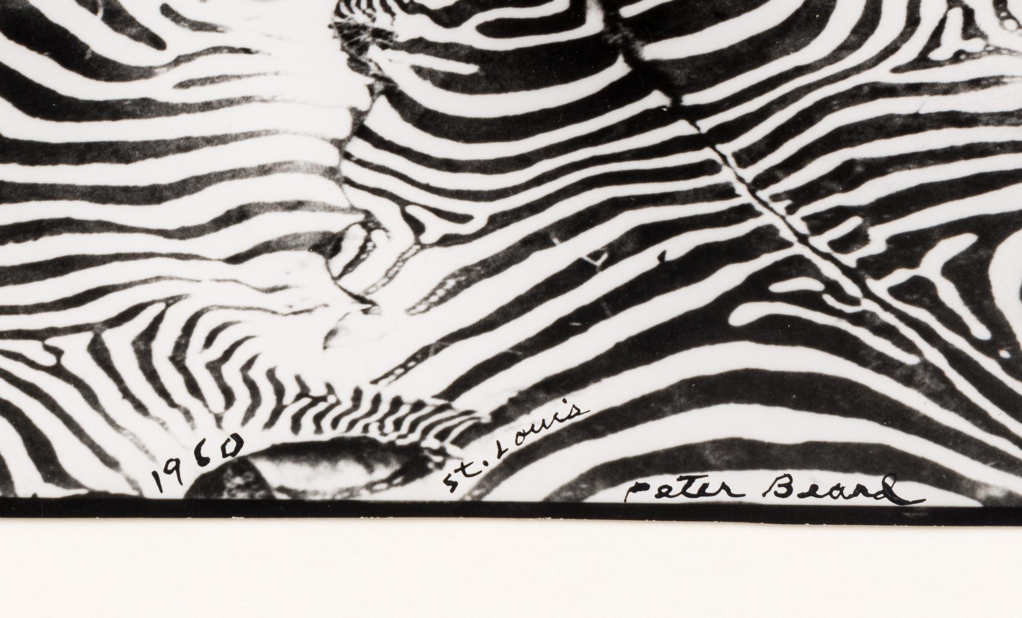 Game Control on Lariak Estate for Gilbert Coleville (from The End of the Game ), 1960