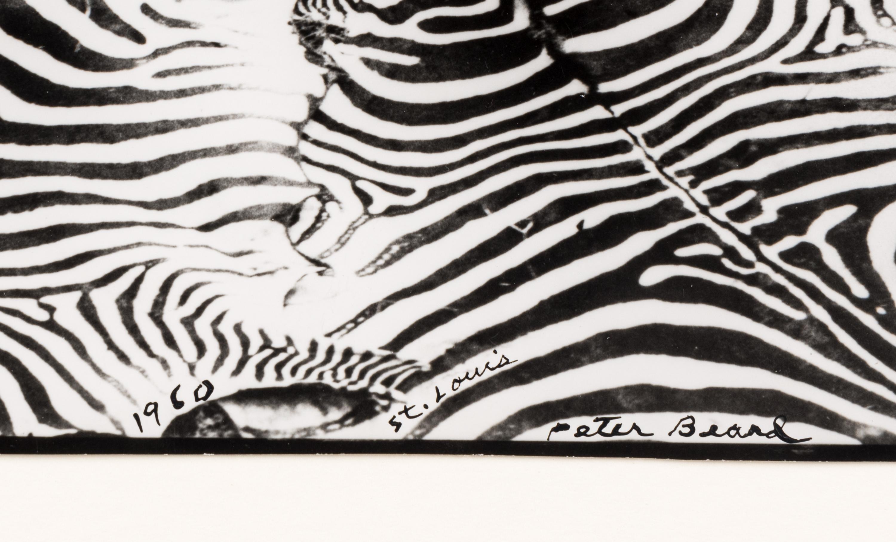 Game Control on Lariak Estate for Gilbert Coleville (from The End of the Game ), 1960
