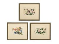 Three Chinese Pith Paintings of Butterflies and Flowers