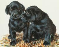Pals , 1993