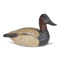 Canvasback drake decoy Ward Brothers, Crisfield, MD, circa 1935