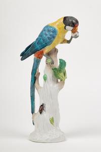 A Vienna Porcelain Parrot