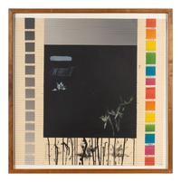 Wish #2-Breadfruit , 1974