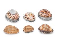 A Group of Silvered, Silver-Mounted and Models of Seashells by Buccellati and Others