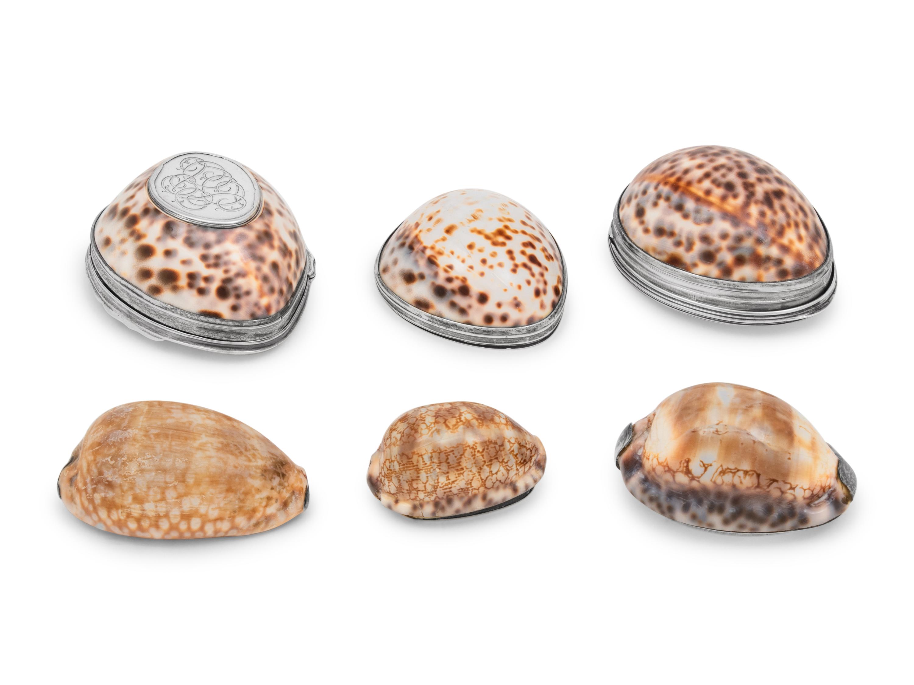 A Group of Silvered, Silver-Mounted and Models of Seashells by Buccellati and Others