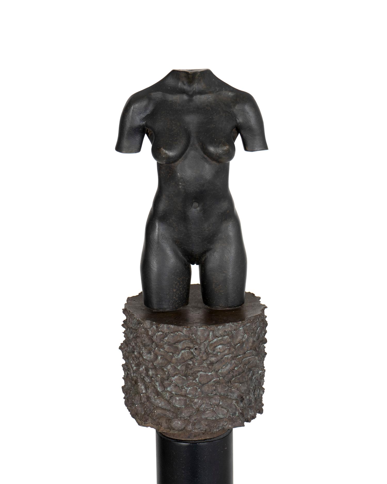 Moca Torso