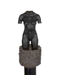 Moca Torso