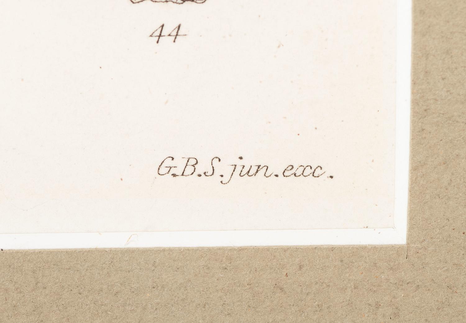 Thirteen Hand-Colored Shell Engravings