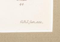 Thirteen Hand-Colored Shell Engravings