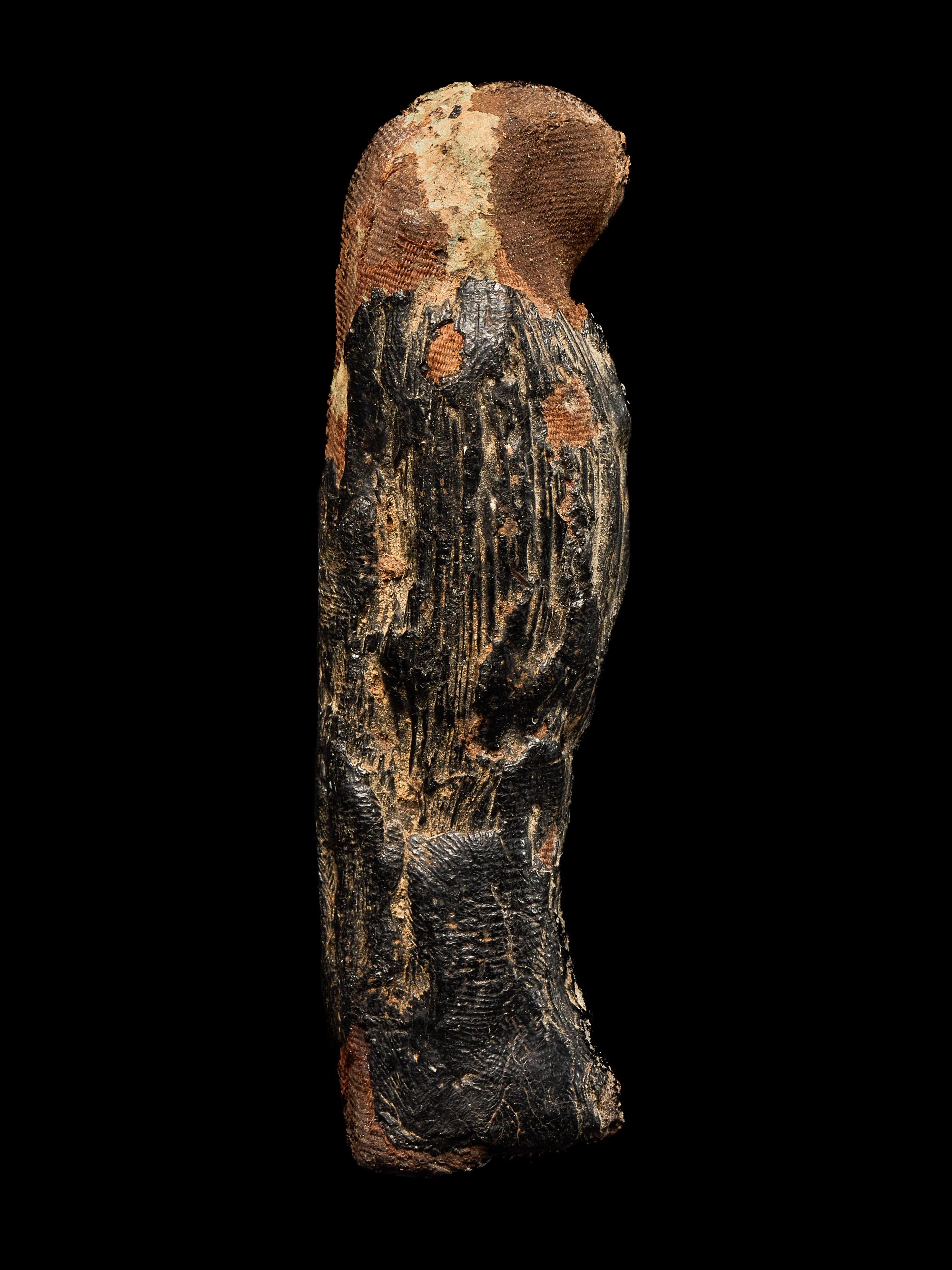 An Egyptian Mummified Falcon
