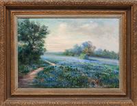 Texas Bluebonnets