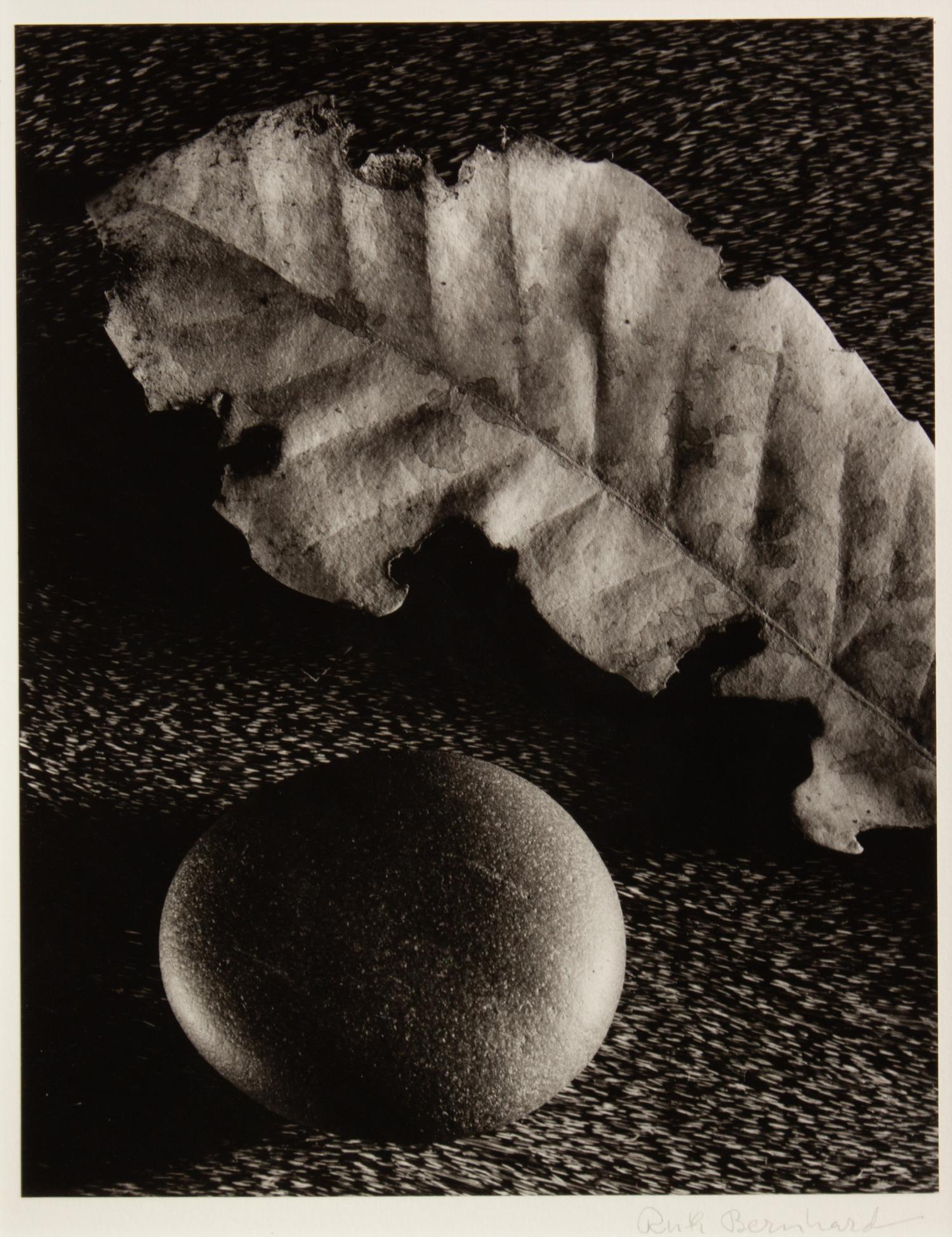 Leaf and Stone