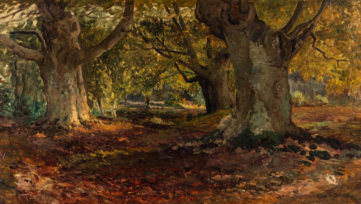 Burnham Beeches