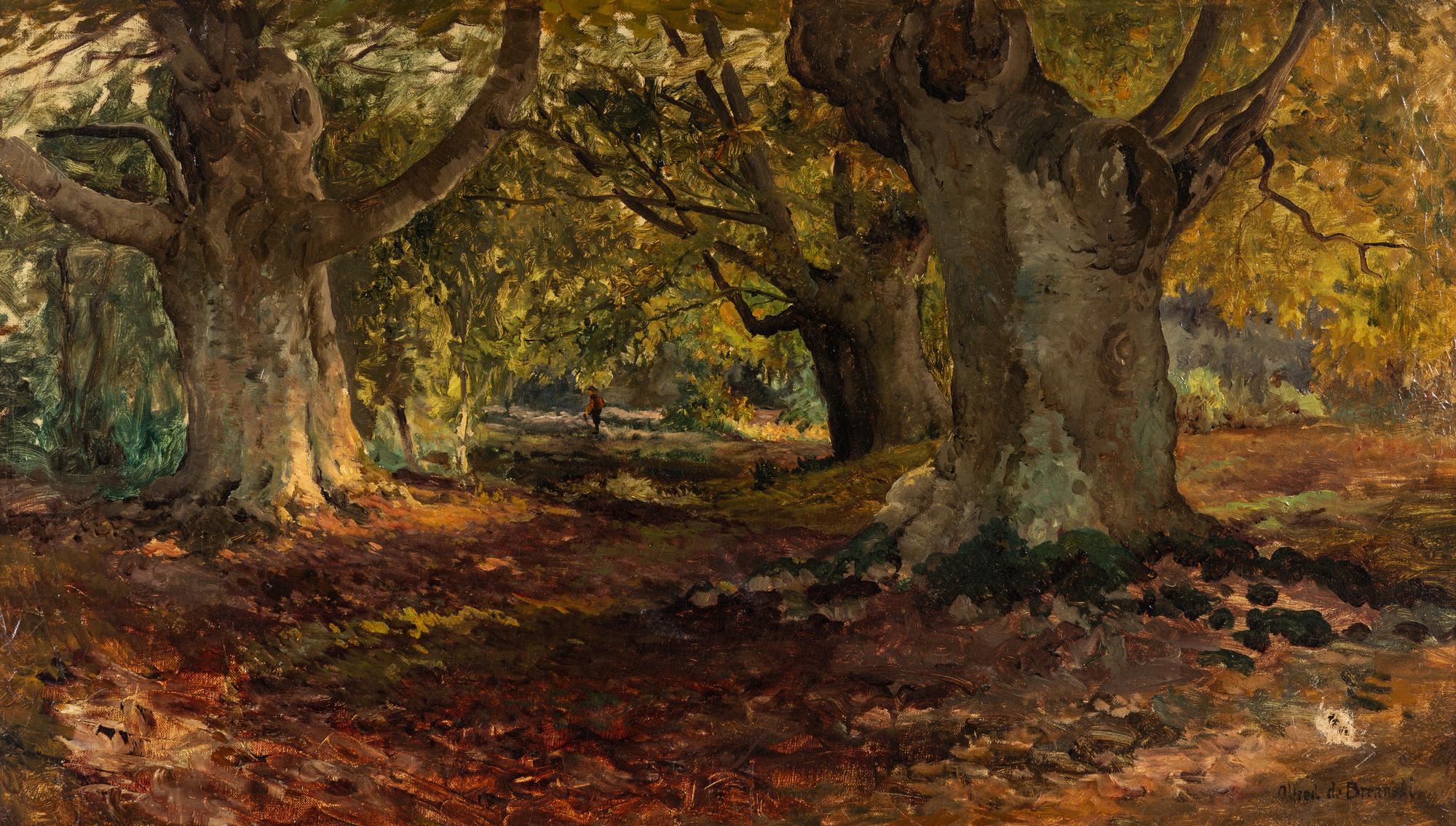 Burnham Beeches