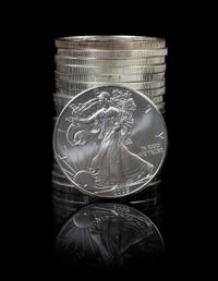A Collection of 20 United States 2009 Silver Eagle $1 Rounds