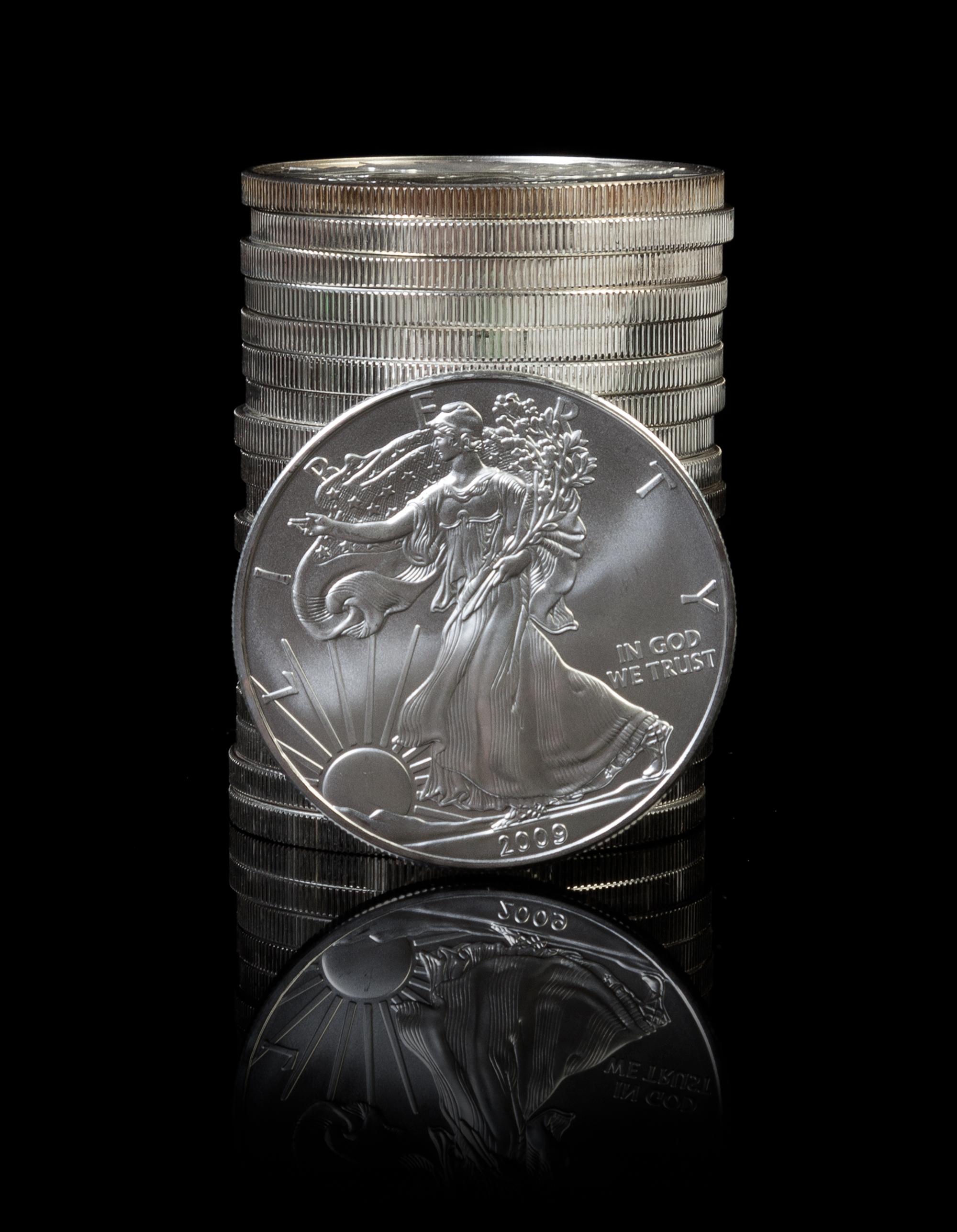A Collection of 20 United States 2009 Silver Eagle $1 Rounds